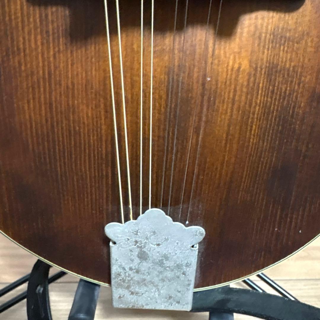 Eastman マンドリン md-315 ケース　スタンド　レザーストラップ付き
