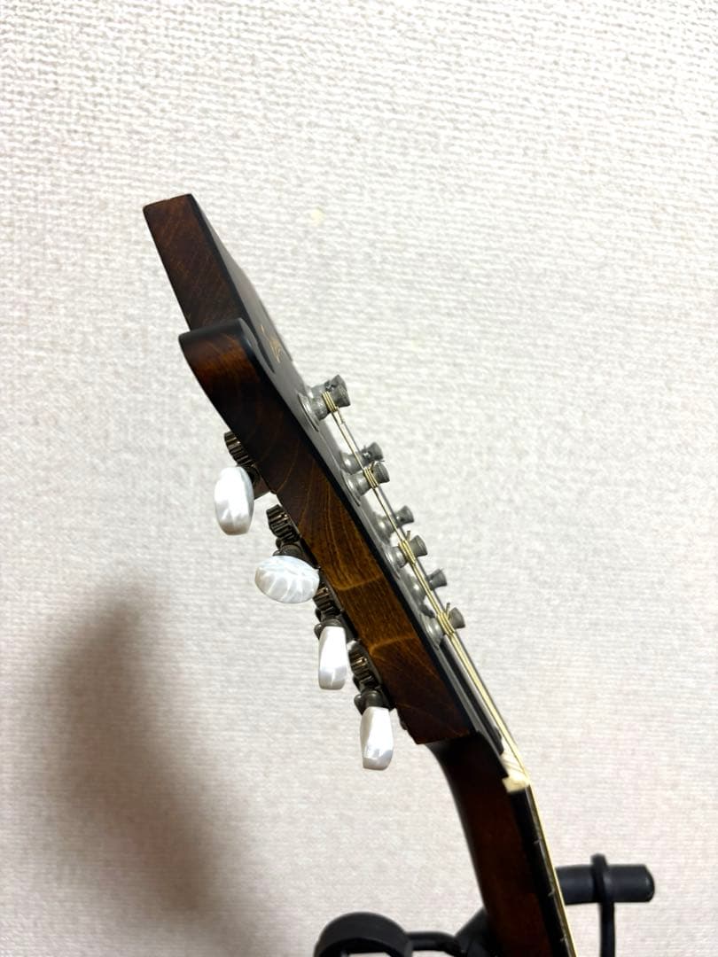Eastman マンドリン md-315 ケース　スタンド　レザーストラップ付き