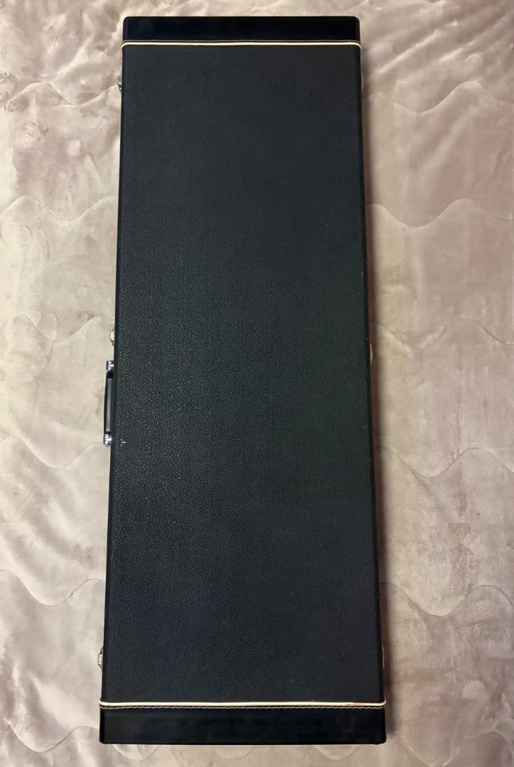 FERNANDES APG-100 USA Custom PRSタイプ エボニー