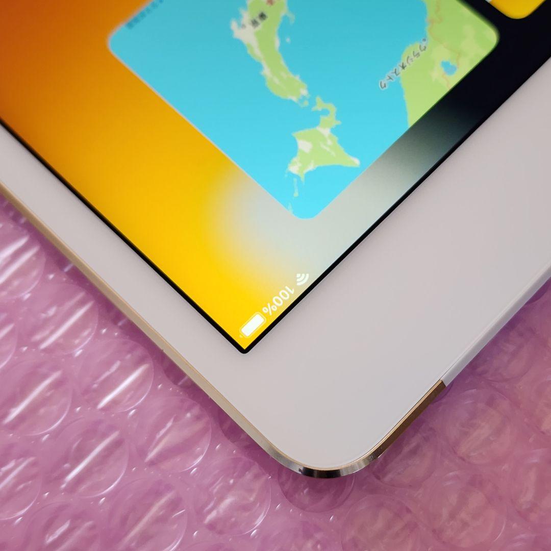 超美品　iPad mini 4　128GB　Wifi + Cellular
