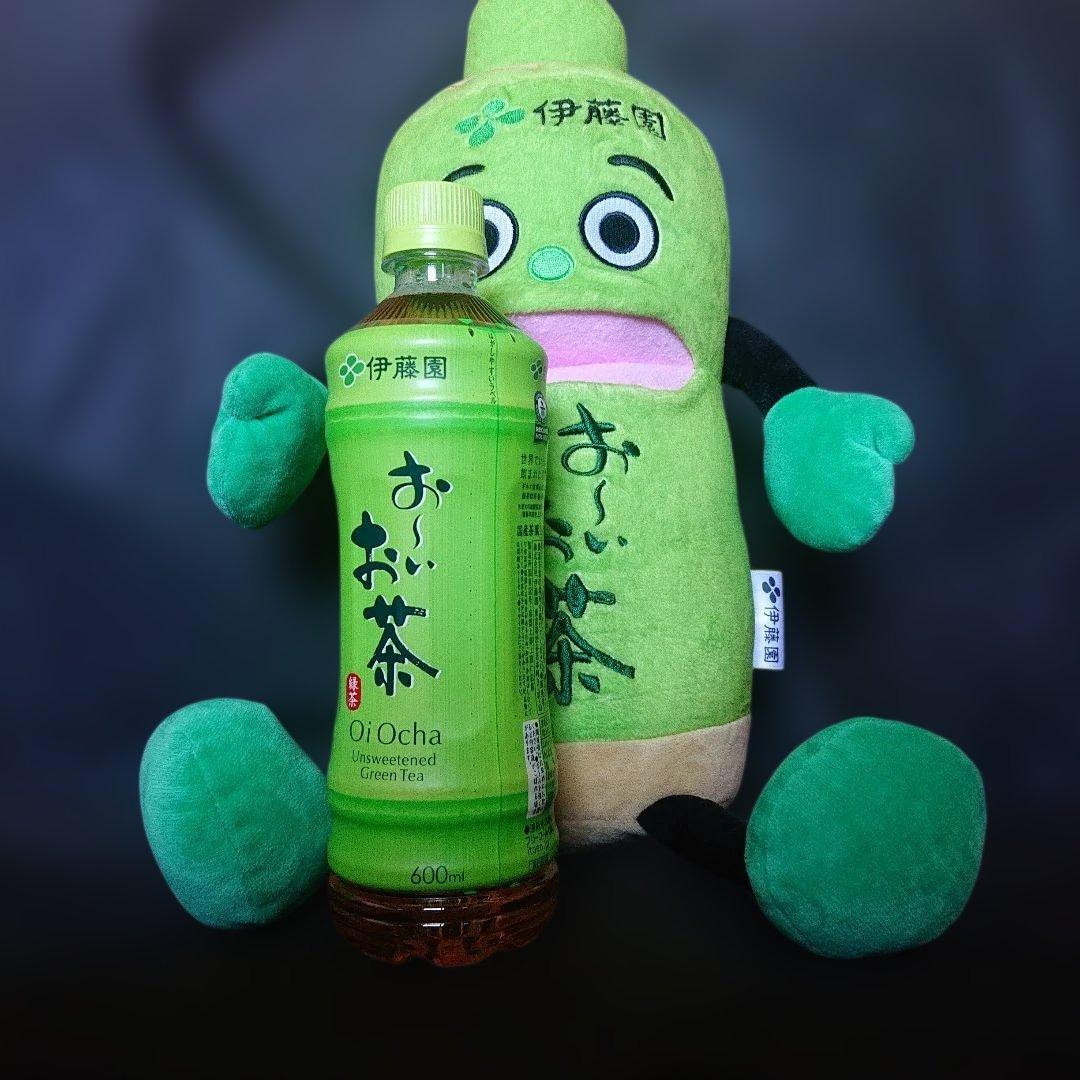 おーいお茶くん ぬいぐるみ 伊藤園おーいお茶 キャラクター