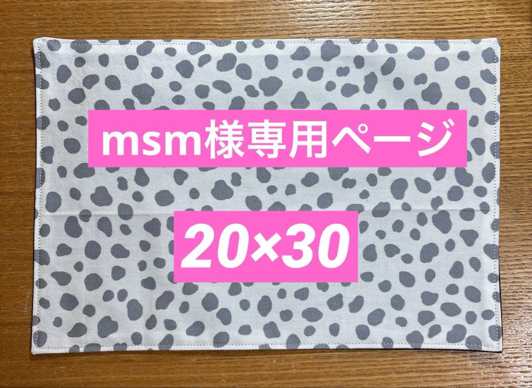 【msmページ】作製中