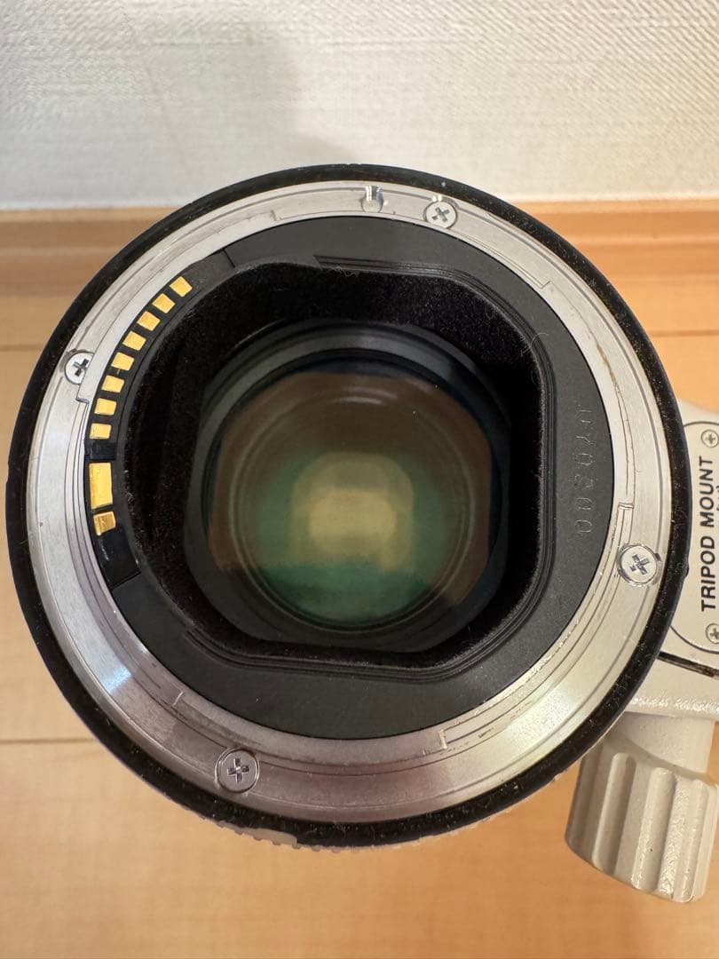 キャノン EF 70-200mm F2.8 L IS Ⅱ USM
