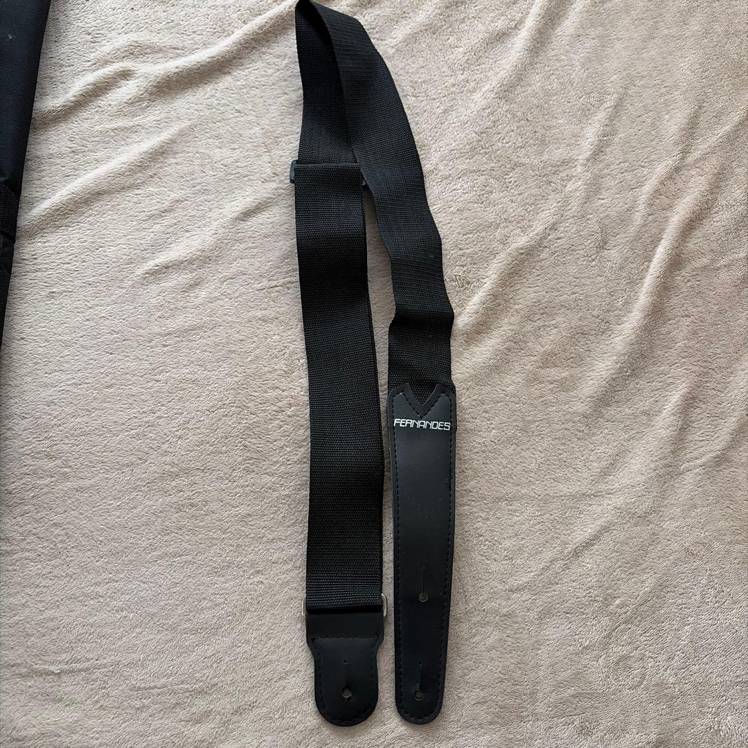 FERNANDES ZO-3 hide サイケ ソフトケース・チューナー付き