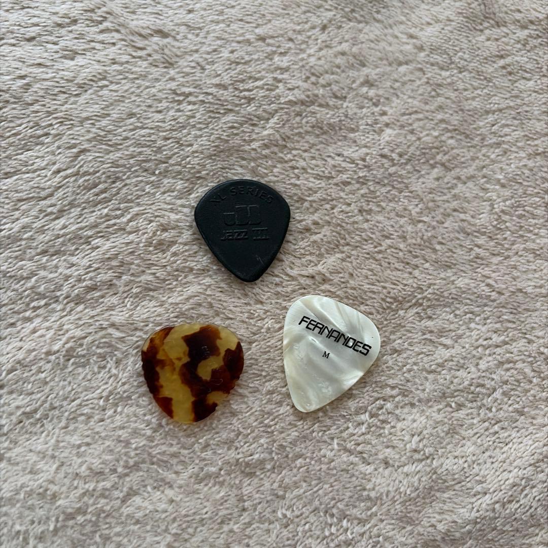 FERNANDES ZO-3 hide サイケ ソフトケース・チューナー付き