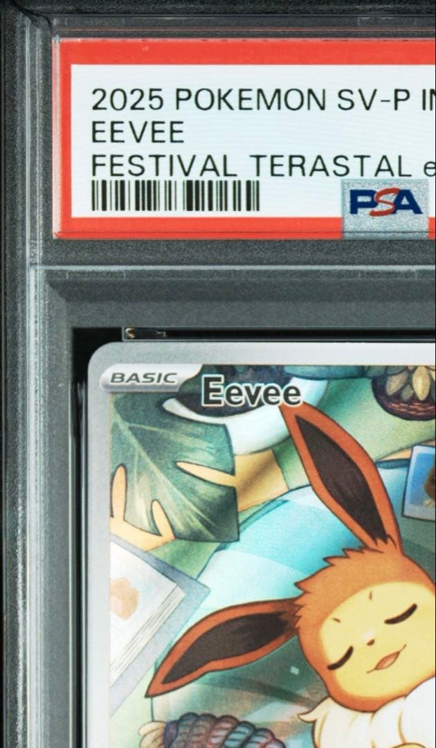 【インドネシア版】イーブイプロモ　インドネシア