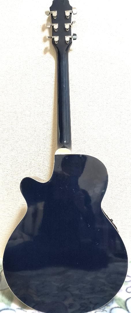 Aria　Elecord　FET-500E　エレアコ