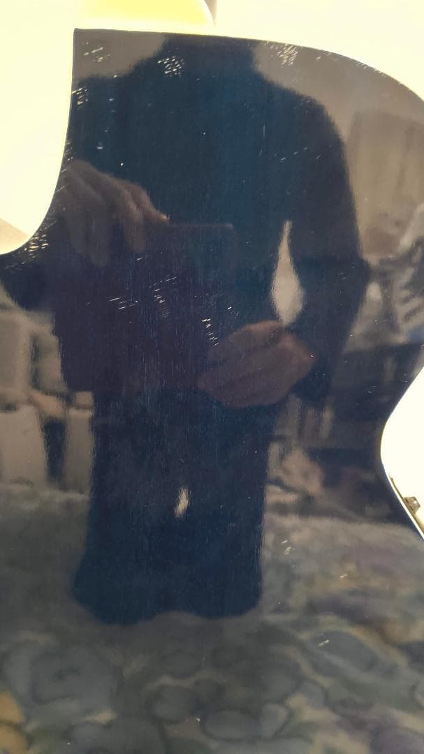 Aria　Elecord　FET-500E　エレアコ