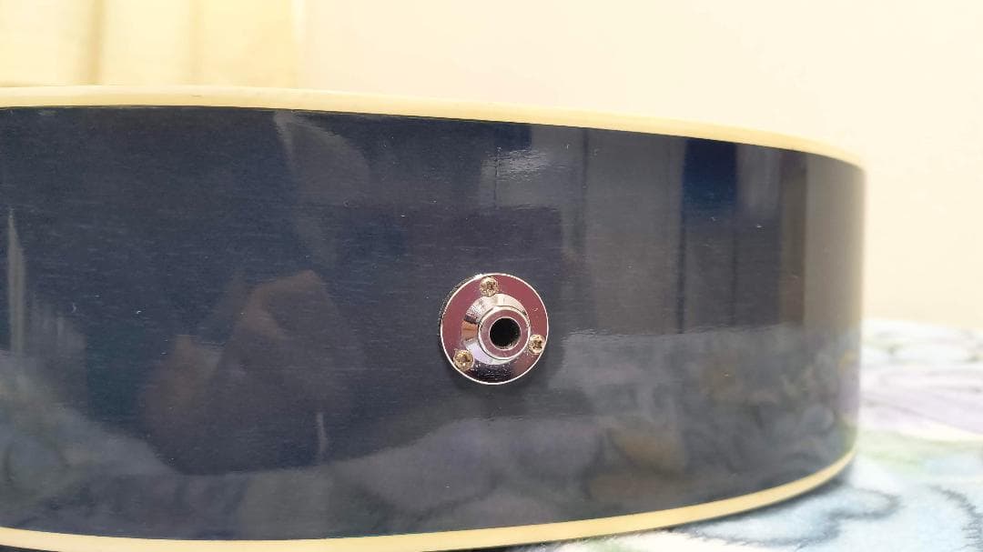 Aria　Elecord　FET-500E　エレアコ