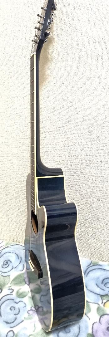 Aria　Elecord　FET-500E　エレアコ