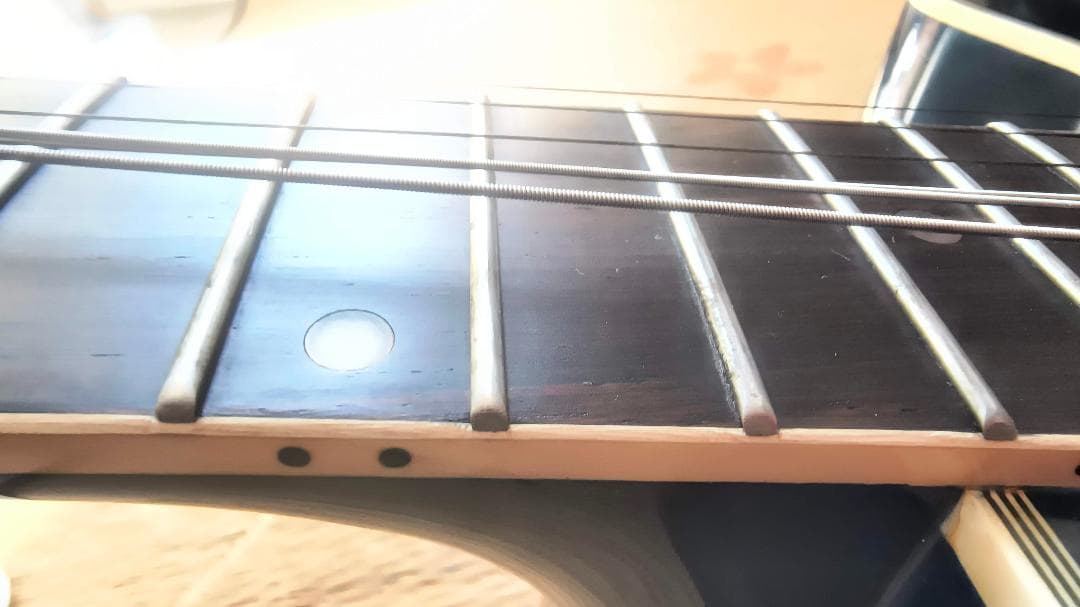 Aria　Elecord　FET-500E　エレアコ