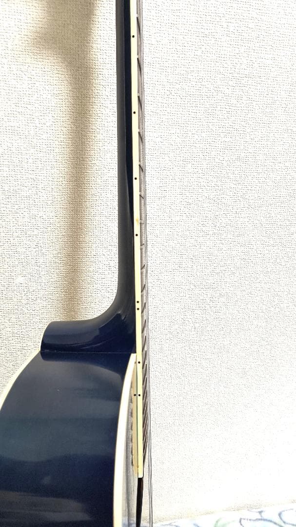 Aria　Elecord　FET-500E　エレアコ