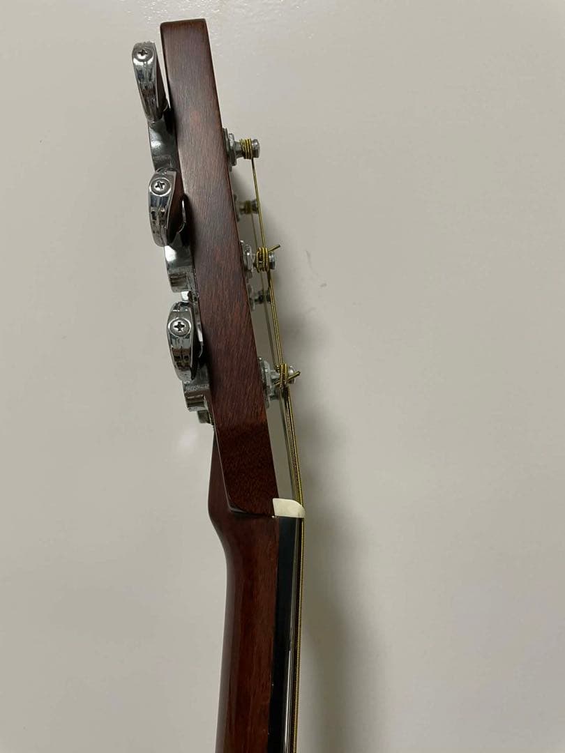 ギター MORRIS GO TF-60H model