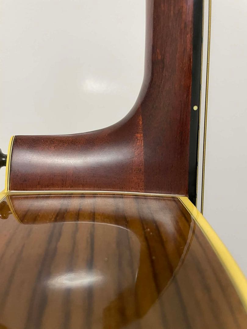 ギター MORRIS GO TF-60H model