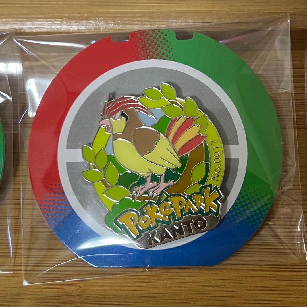 ポケパーク カントー 限定 ピンバッジ 13点