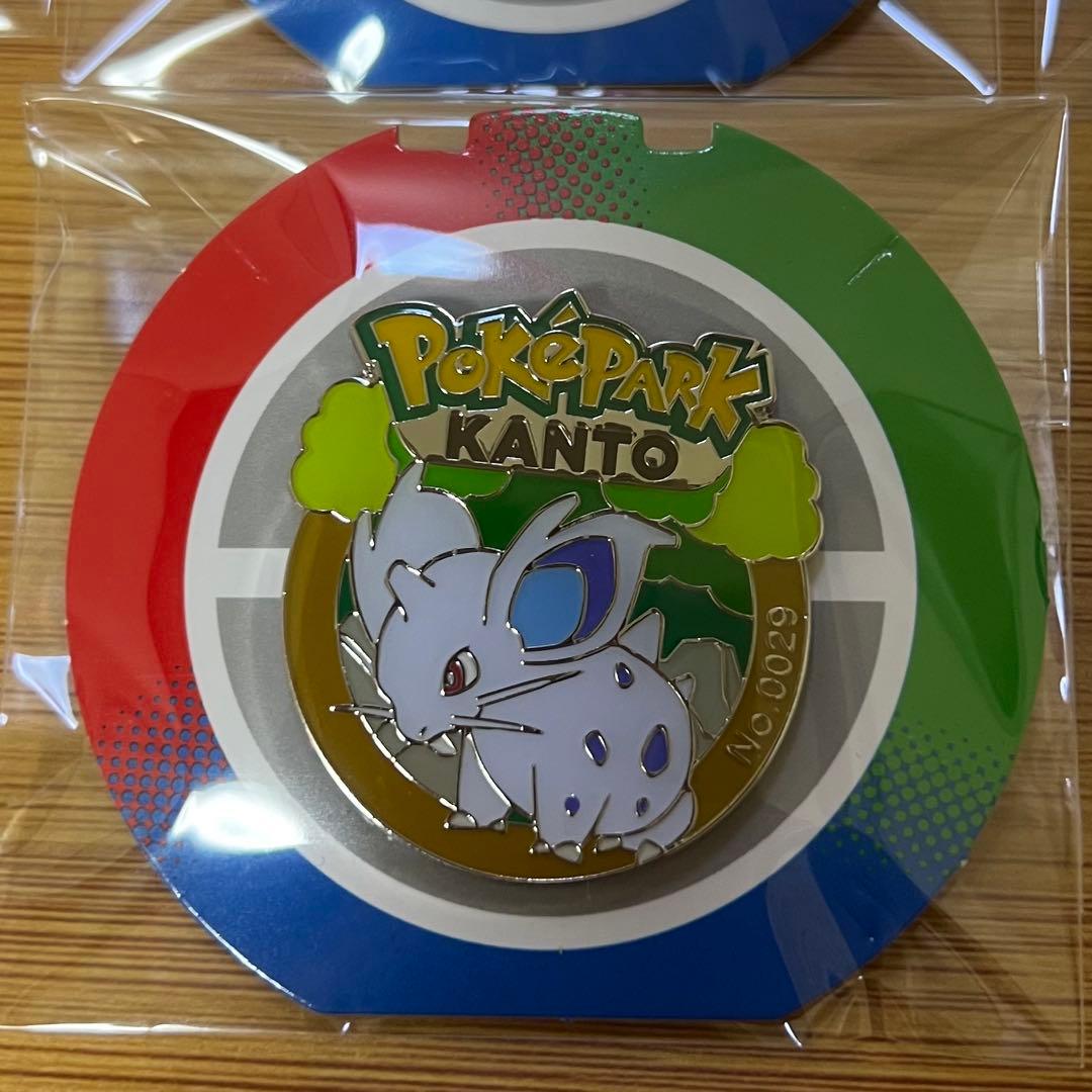 ポケパーク カントー 限定 ピンバッジ 13点