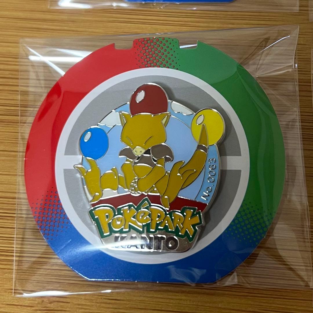 ポケパーク カントー 限定 ピンバッジ 13点