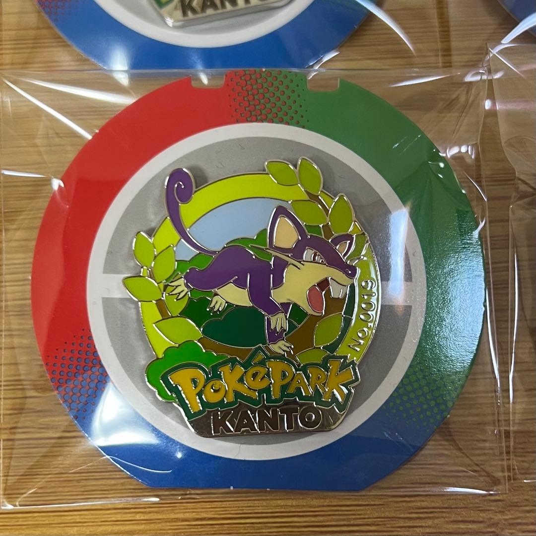 ポケパーク カントー 限定 ピンバッジ 13点