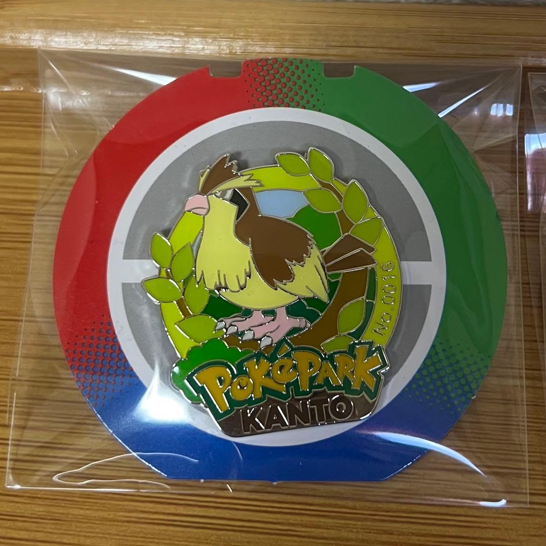 ポケパーク カントー 限定 ピンバッジ 13点