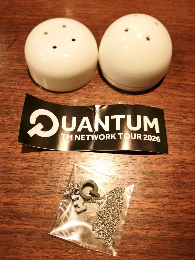 TM NETWORK Quantum デコガチャ ネックレス 激レア