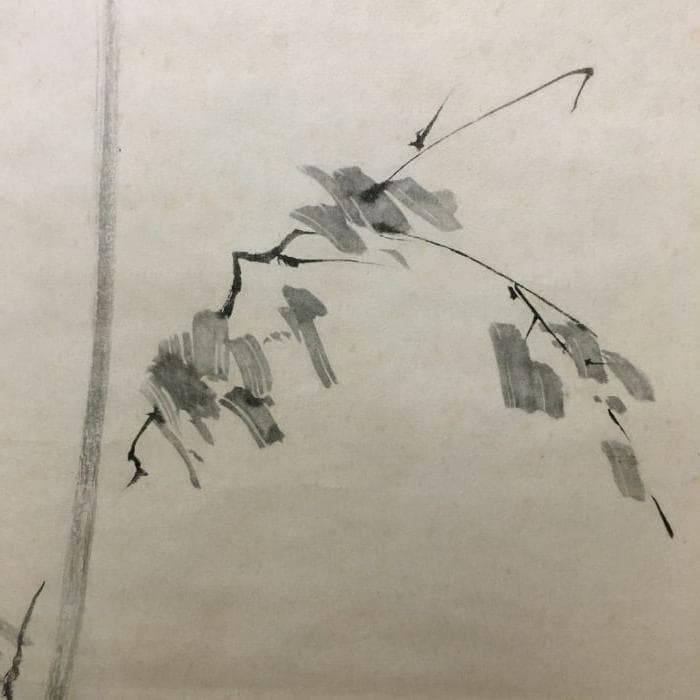 Y 中古 宮本武蔵 掛け軸 枯木鳴鵙 こぼくめいげき 鳥 骨董品 古美術 S