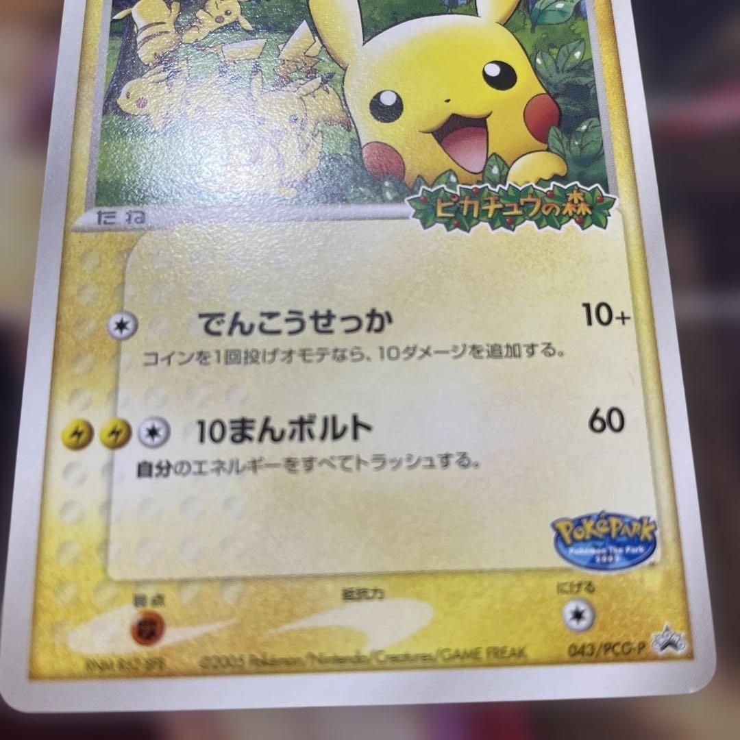 う*る様 マスクド・ピカチュウ　ポケパークのピカチュウ　マスクドピカチュウ　セッ
