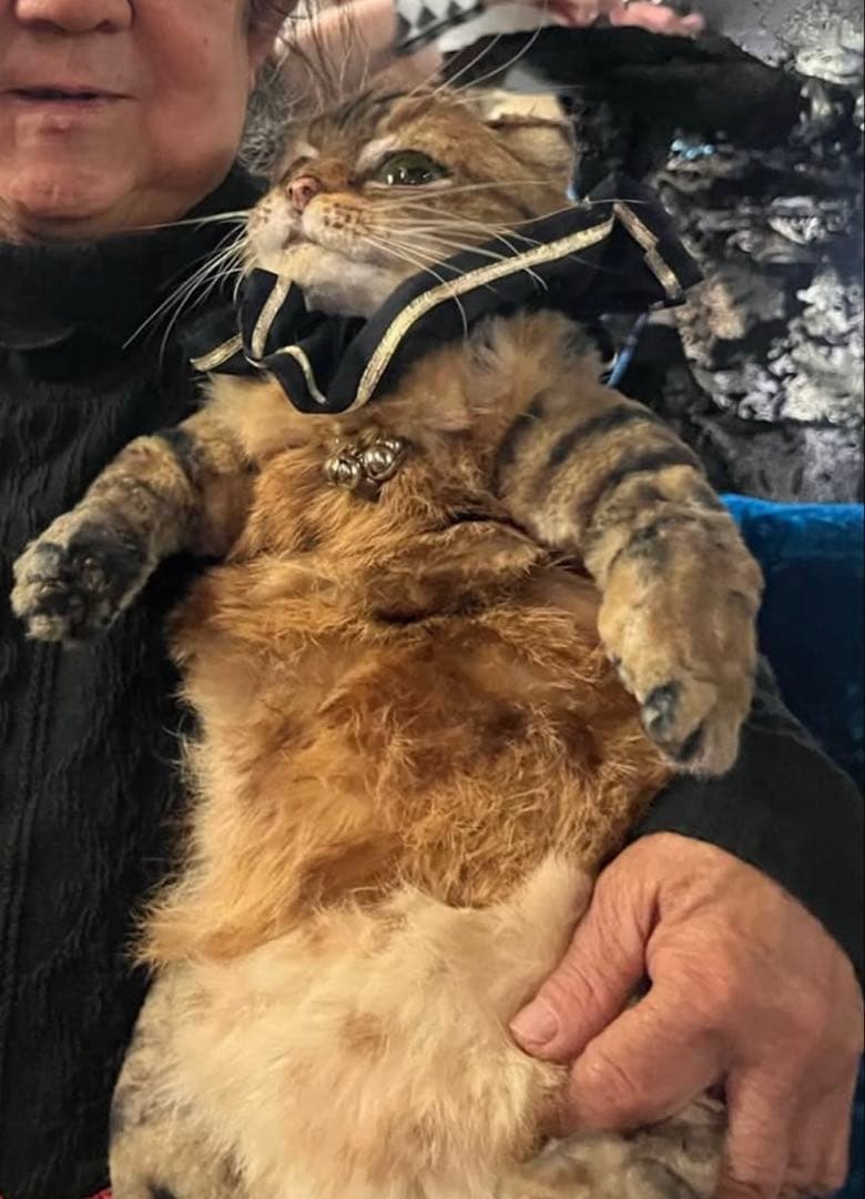 マイペットオーダーメイド 30センチ