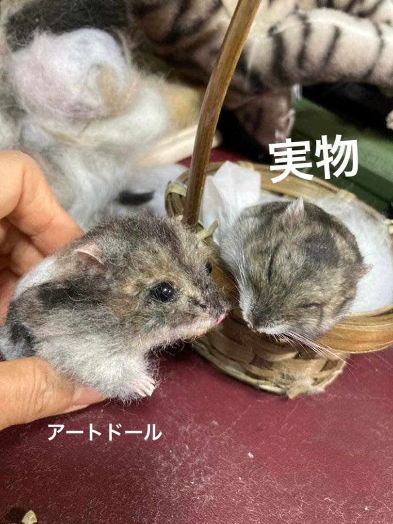 マイペットオーダーメイド 30センチ