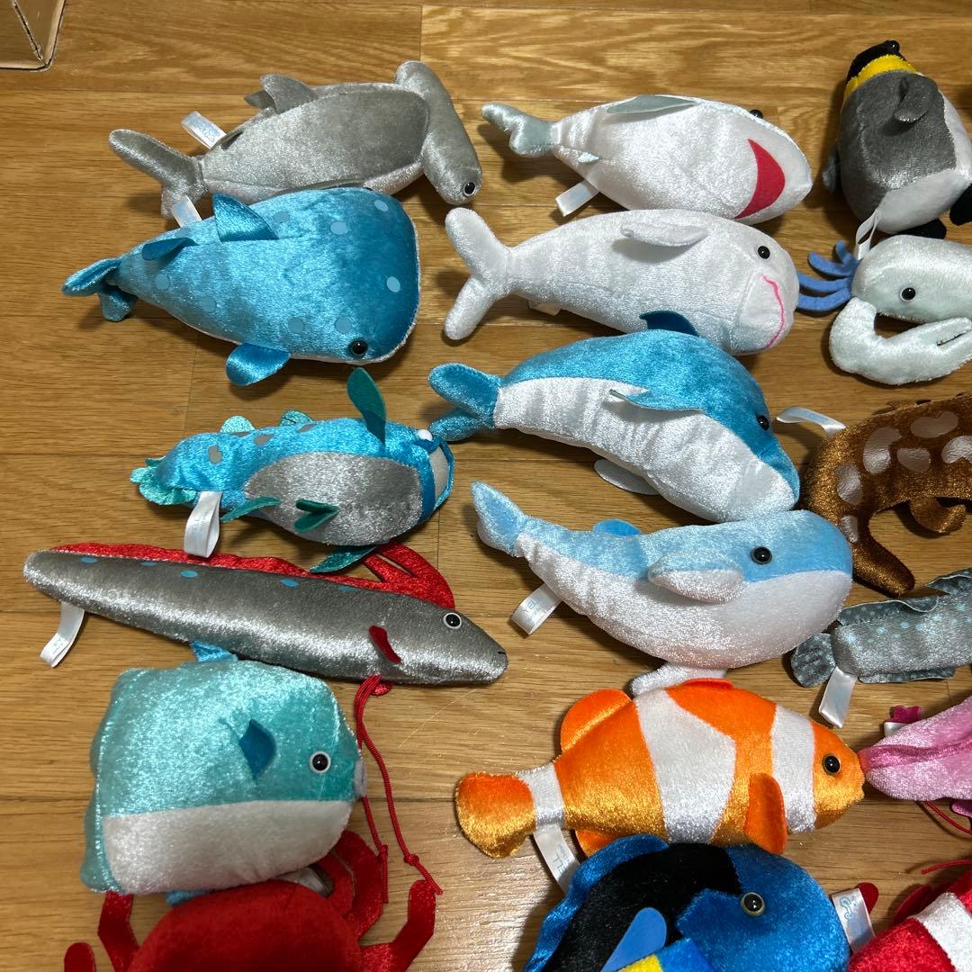 マリンパーク　きらきらぬいぐるみ70体　コンプリート　うみのいきもの