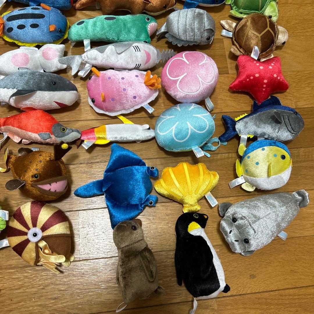 マリンパーク　きらきらぬいぐるみ70体　コンプリート　うみのいきもの