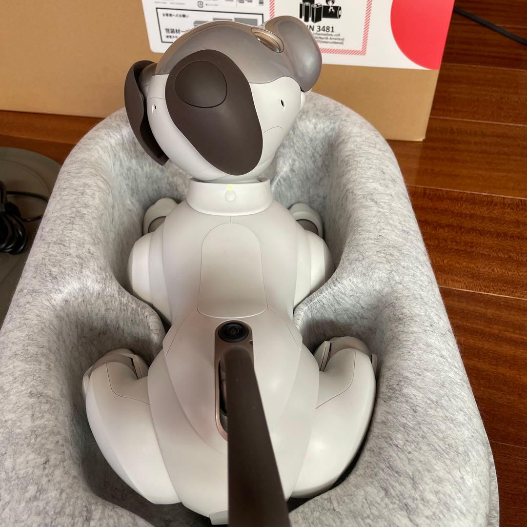 aibo本体 アイボ ERS-1000 ロボット犬 2019年正規購入