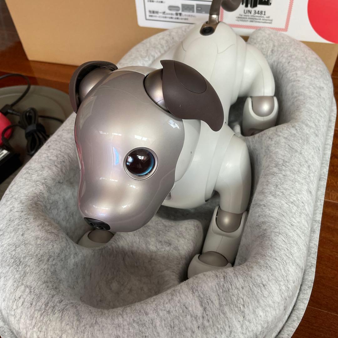 aibo本体 アイボ ERS-1000 ロボット犬 2019年正規購入
