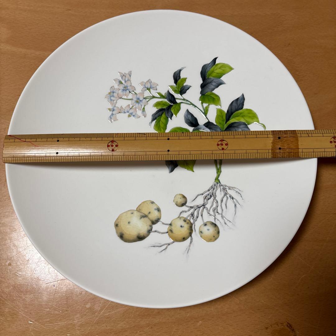 植物とジャガイモのイラスト皿 25cm