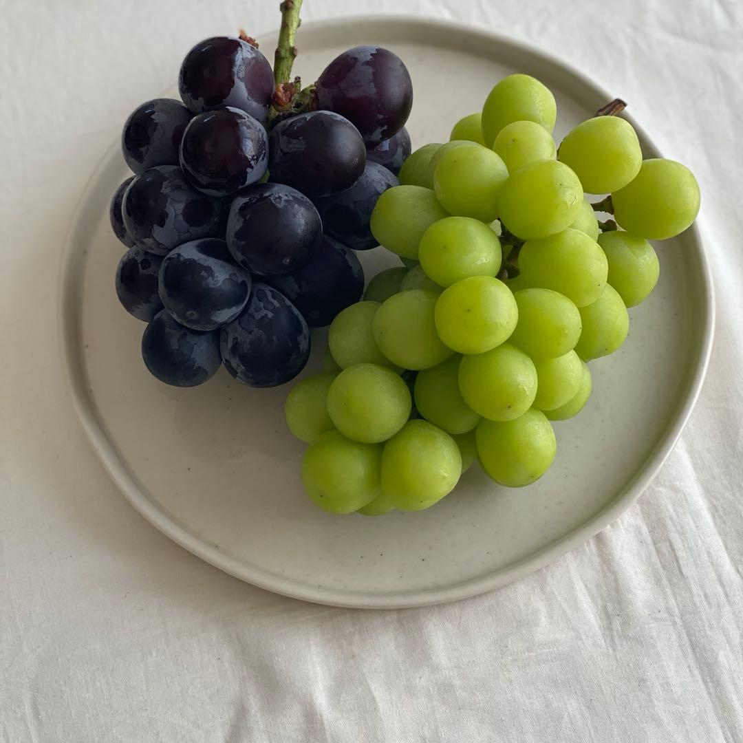 コスタノバ　ラゴア(ストーン)プレートセット