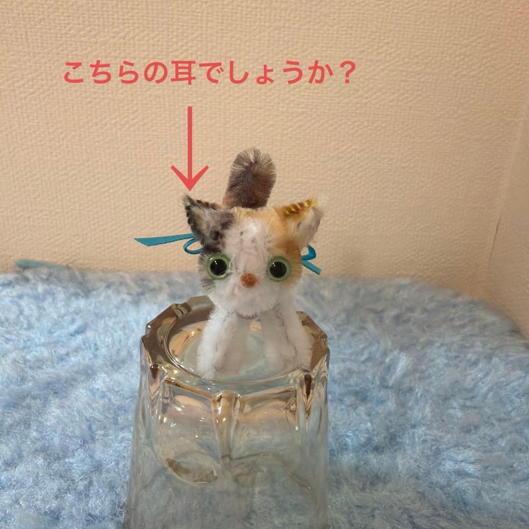 モールねこ ★ ヤッチンさまご確認用