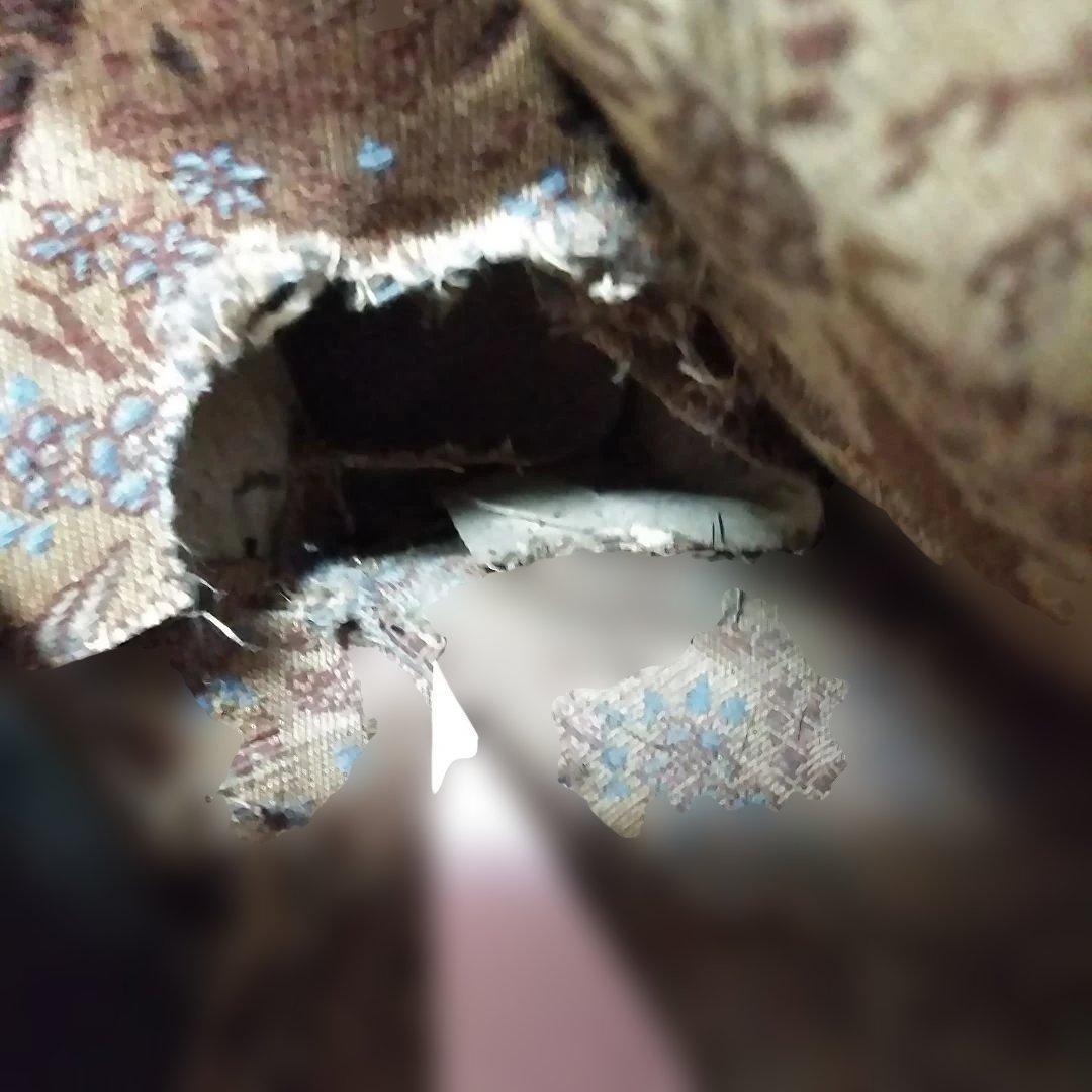 明治雛人形　親王飾り　古い雛人形