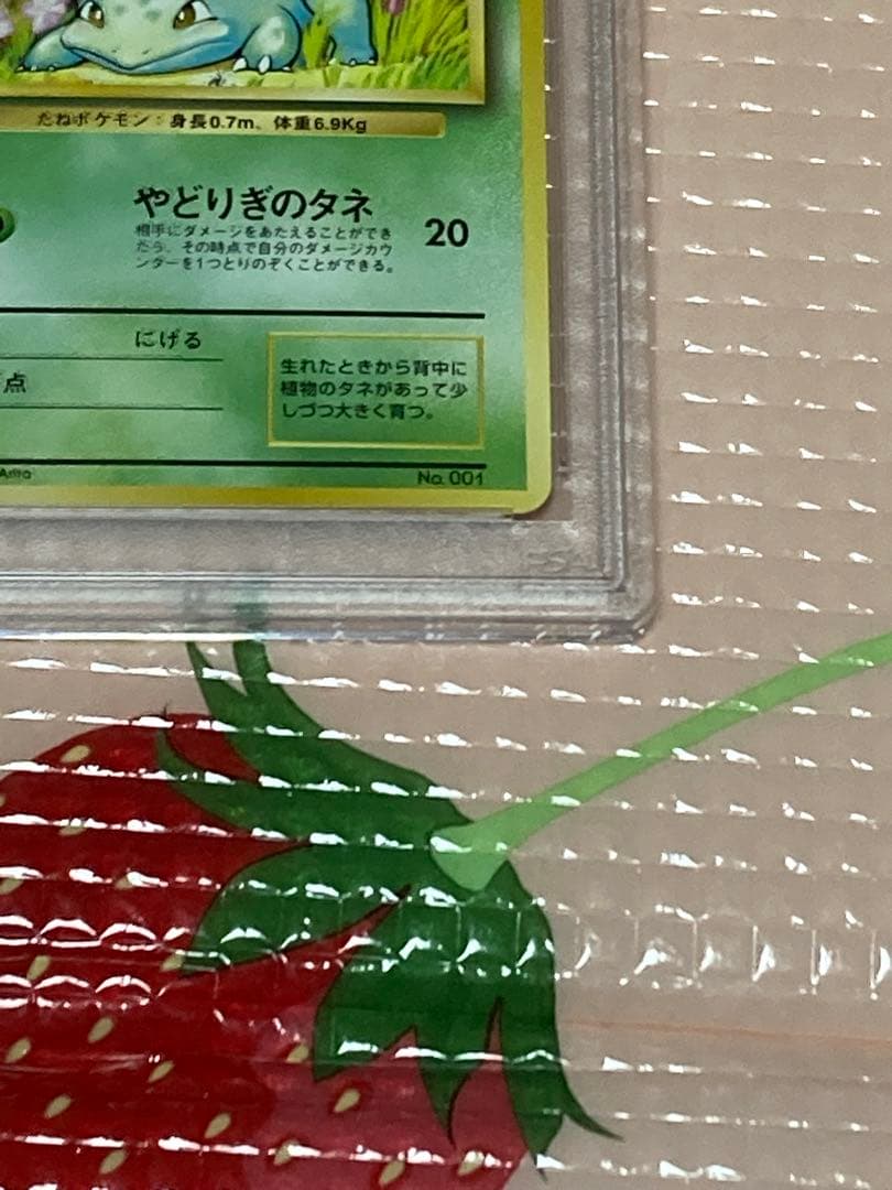 PSA8 旧裏面 初版マークなし フシギダネ 第1弾 【ポケモンカード】