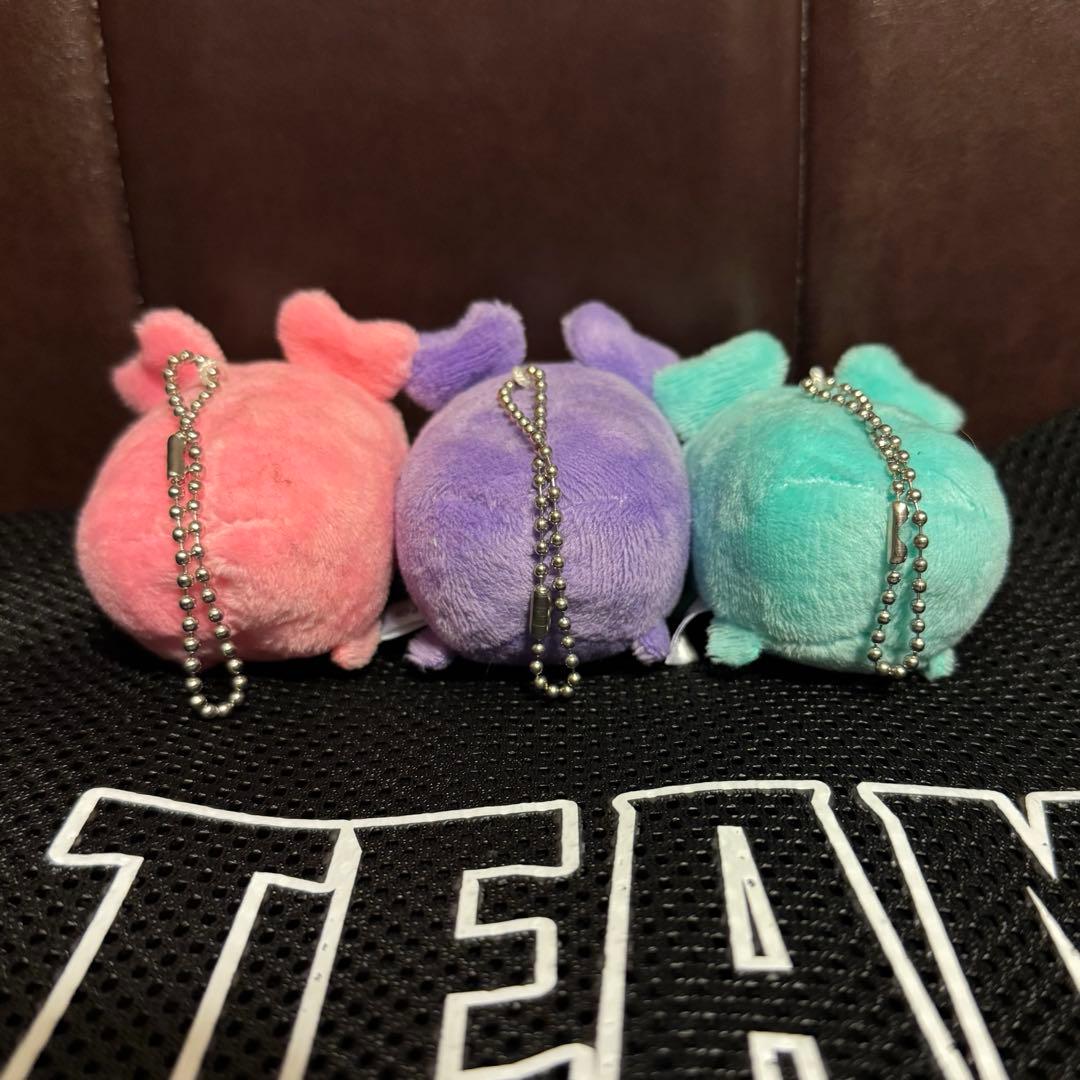 MISAMO TWICE くっつきチャーム ミナ サナ モモ ミサモ3体セット