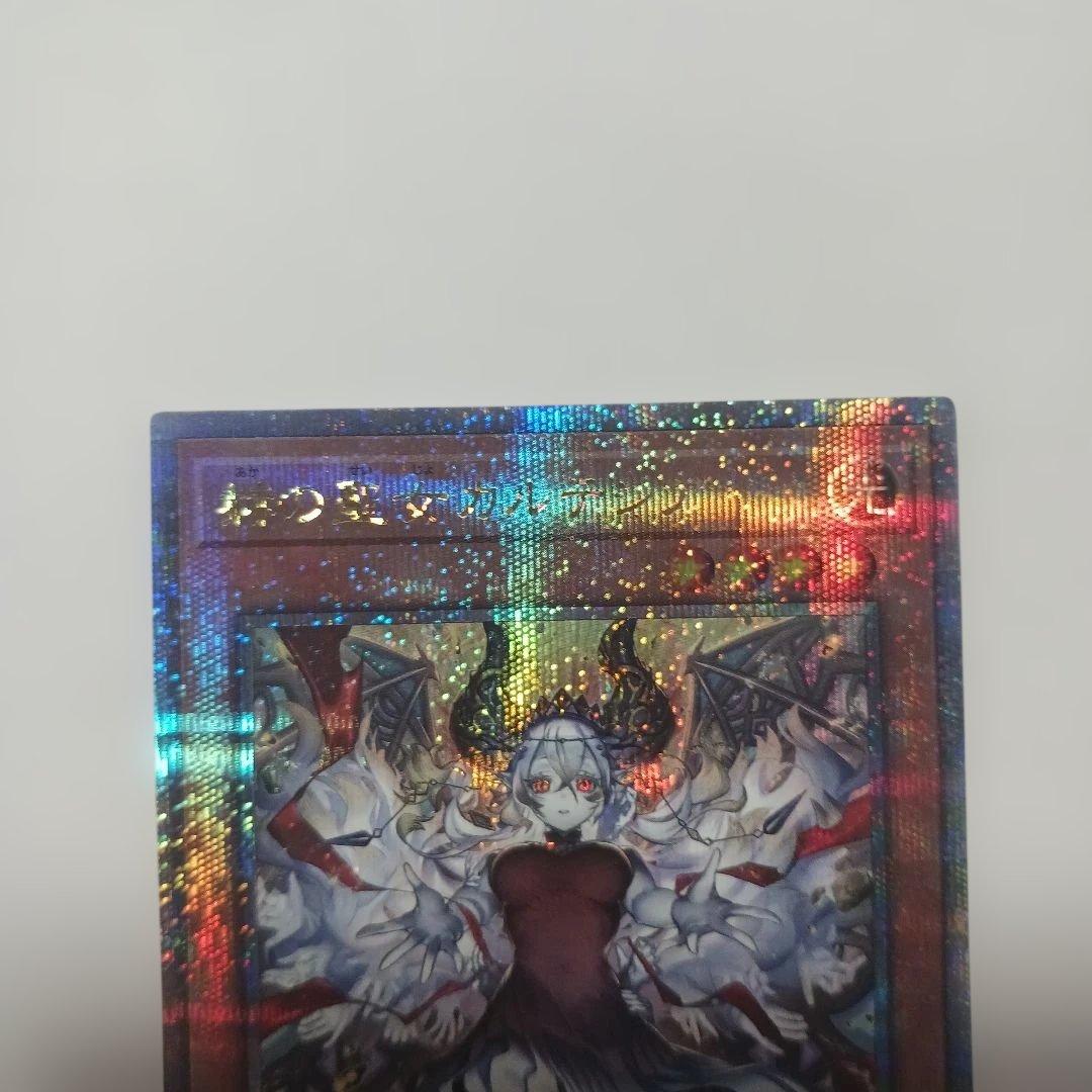 遊戯王　赫の聖女カルテシア　25th 美品