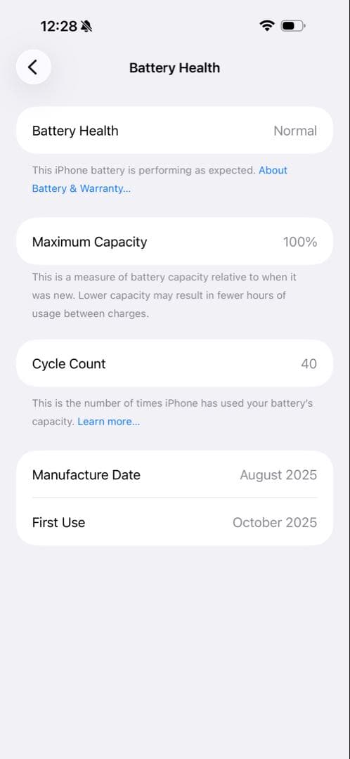 iPhone 17 Pro Max (シルバー) - 超美品・SIMフリー