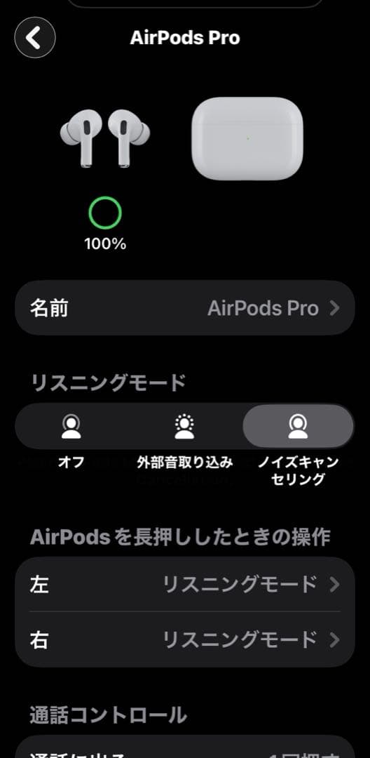 【美品】AirPods Pro 第1世代 付属品完備＋スヌーピーケース付き