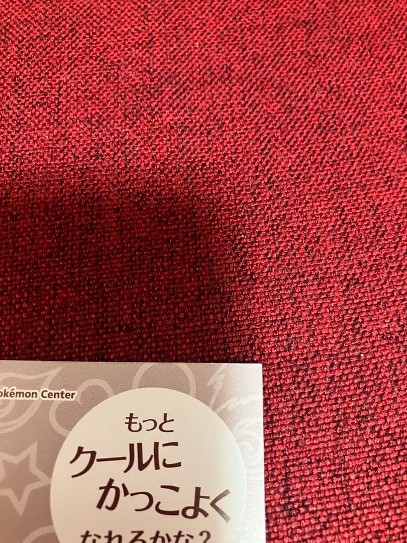 【非売品】ピカチュウ メガルカリオ　ポンチョ 名刺カード