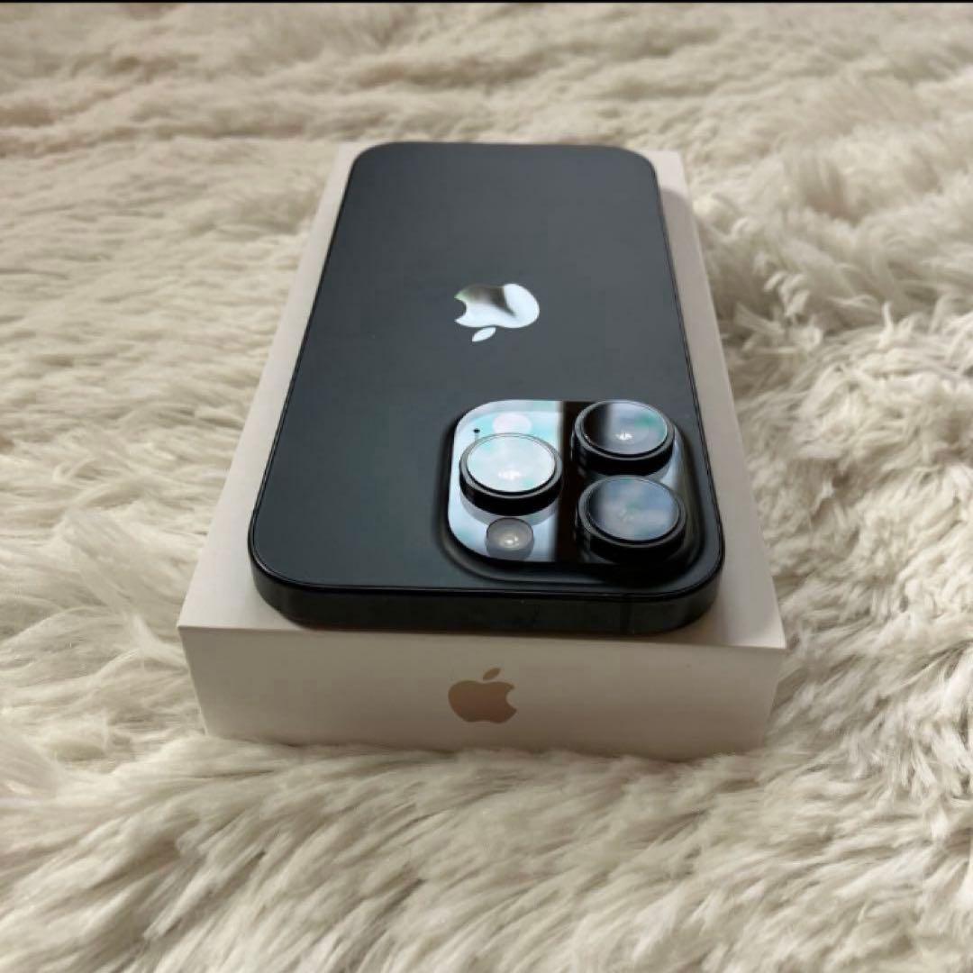 【2/30販売終了】iPhone 16 Pro 256GB 【すぐ発送】