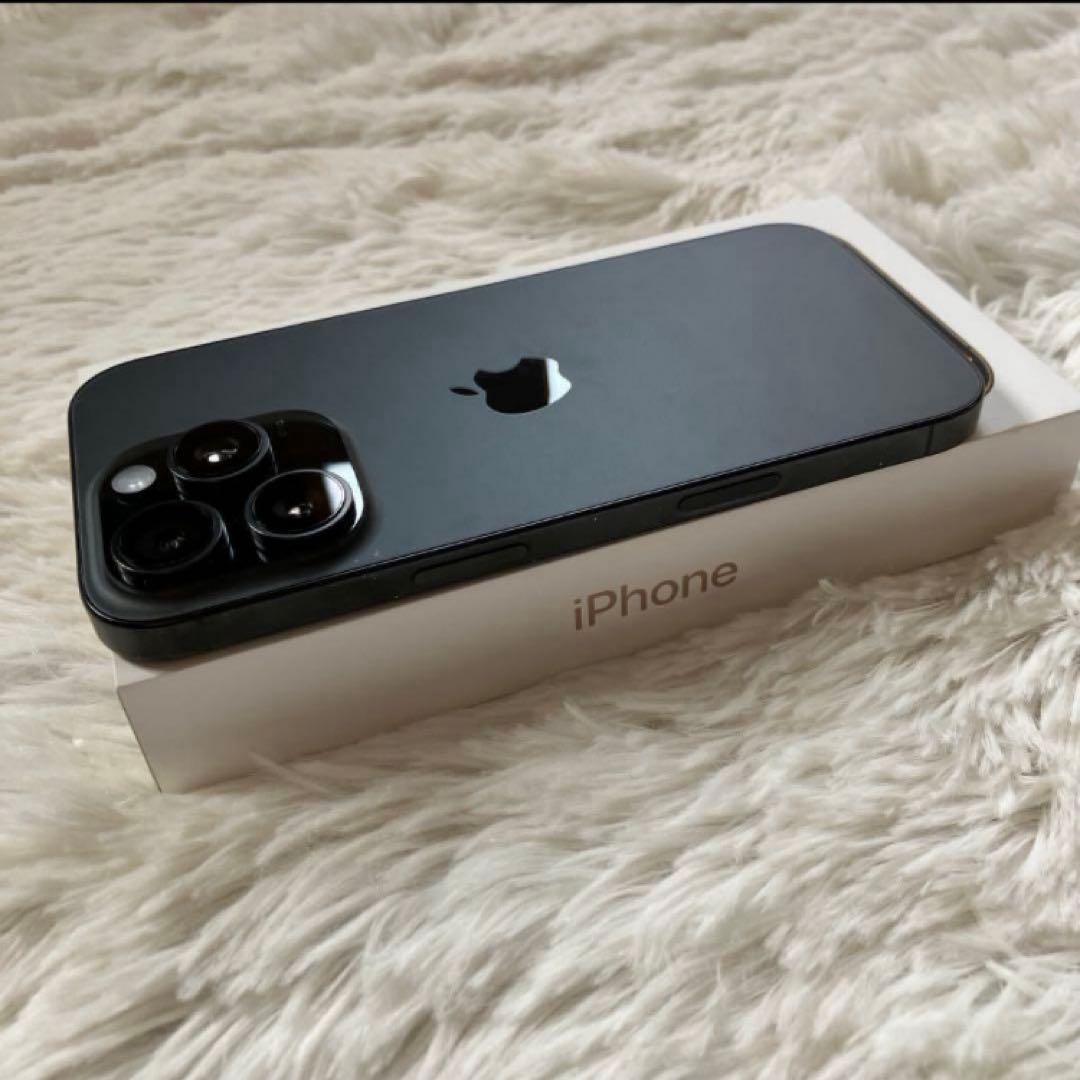 【2/30販売終了】iPhone 16 Pro 256GB 【すぐ発送】