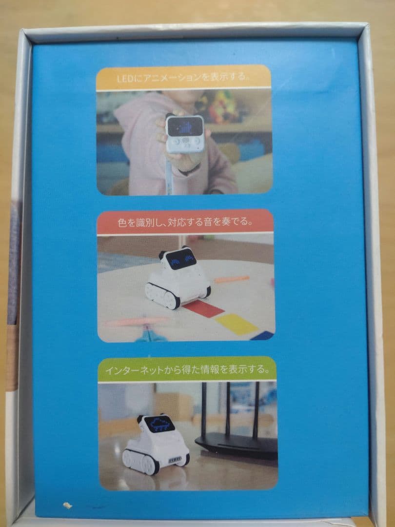 コーディーロッキー