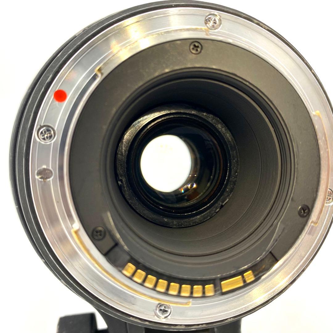SIGMA 50-500mm F4.5-6.3 APO DG カメラ 望遠レンズ