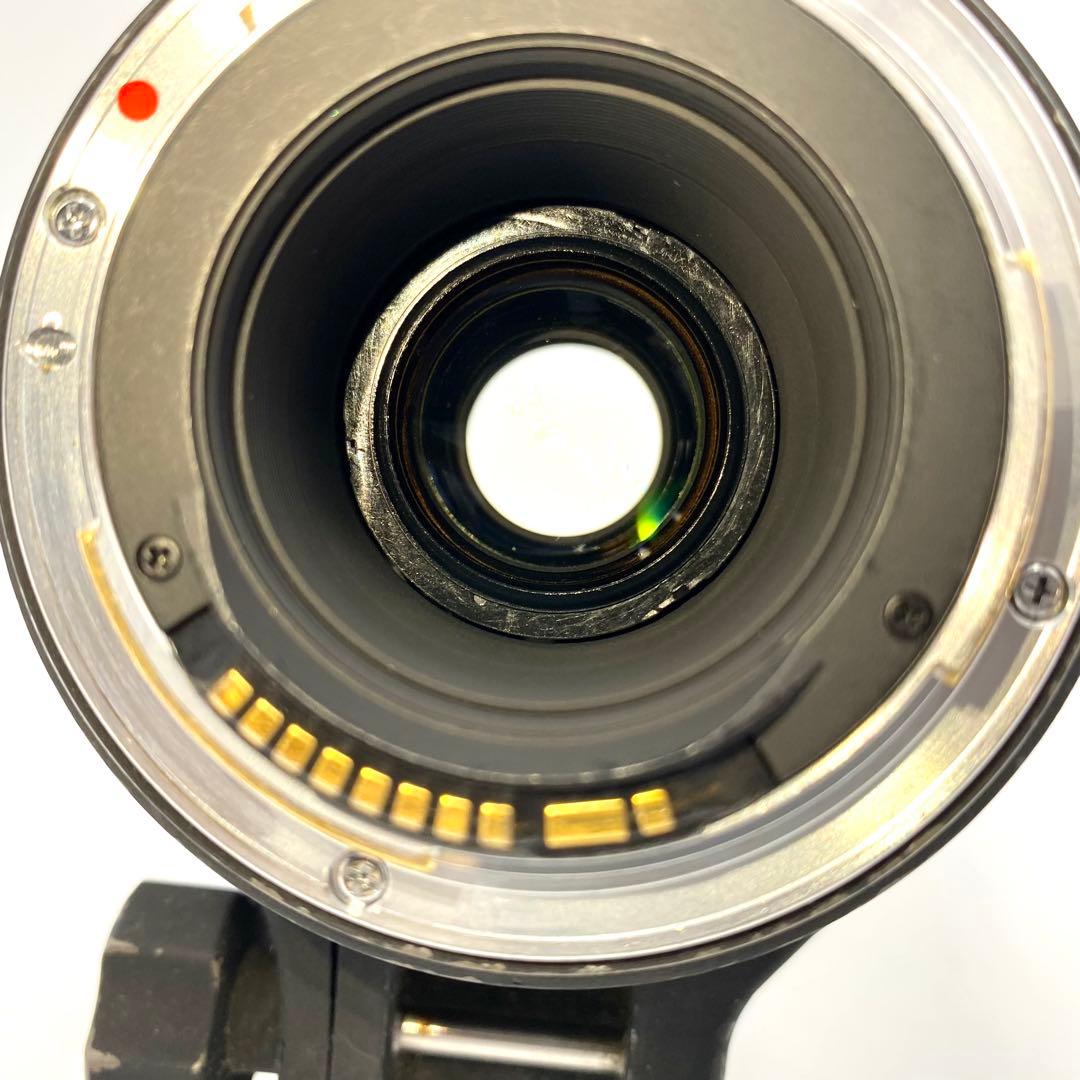 SIGMA 50-500mm F4.5-6.3 APO DG カメラ 望遠レンズ