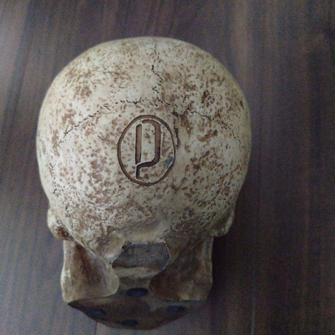 スカル ドクロ ガイコツ 置物 オブジェ