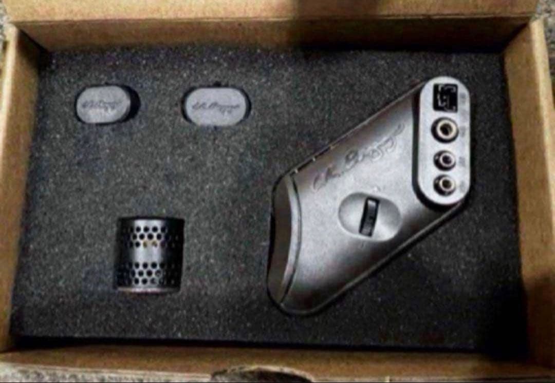 ギター LR BAGGS HiFi Duet