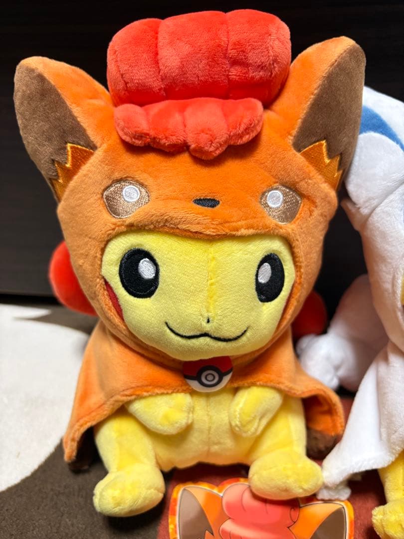 タグ付き ポンチョを着たピカチュウ ロコン アローラロコン 2017